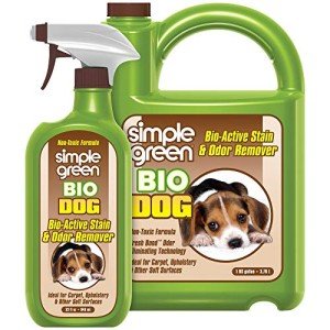 Simple Green Bio Dog Stain & Odor Remover