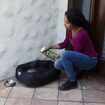 Simple Green Bio Dog Stain & Odor Remover