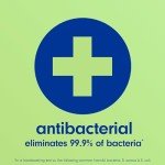 Softsoap Antibacterial Hand Soap - Sparkling Pear, 6 Pack