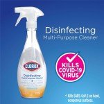 Clorox Multi-Purpose Disinfecting Cleaning Refills, 2 Pack