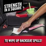 Brawny Tear-A-Square Paper Towels - 12 Rolls