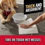 Brawny Tear-A-Square Paper Towels, 2 Double Rolls