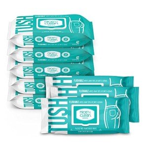 Nice 'N Clean Adult Flushable Wipes - 8 Packs