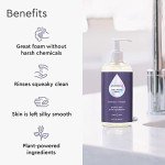 Puracy Organic Lavender & Vanilla Hand Soap 2-Pack