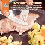 Heavyweight Plastic Cutlery Set with Napkins & Seasoning