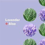 Lavender Aloe Hand Sanitizer Spray - 2 Fl Oz 6-Pack