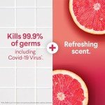 Clorox Scentiva Disinfecting Mist & Refill, Citrus