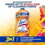 LYSOL Power Clean Mango & Hibiscus Cleaner 28 oz