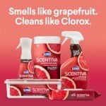 Clorox Scentiva Disinfecting Mist & Refill, Citrus
