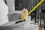 Evriholder FURemover Broom for Easy Pet Hair Cleanup