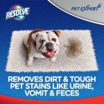 Pet Expert Carpet Cleaner - 22 oz Stain Remover