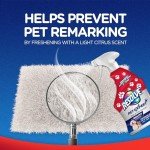 Pet Expert Carpet Cleaner - 22 oz Stain Remover