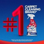 Pet Expert Carpet Cleaner - 22 oz Stain Remover