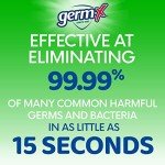 Germ-X Moisturizing Hand Sanitizer with Aloe & Vitamin E