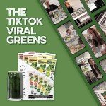 Greens Powder Mix - 10 Flavor Variety Pack