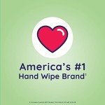 Wet Ones Antibacterial Eucalyptus & Mint Wipes 150 ct