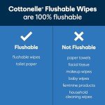 Cottonelle Flushable Wipes, 24 Packs of 14
