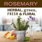 Mrs. Meyer's Rosemary Liquid Hand Soap 3-Pack