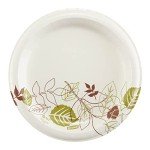 Dixie 8.5 Inch White Paper Plates, 300 Count
