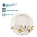 Dixie 8.5 Inch White Paper Plates, 300 Count