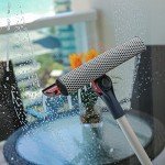 Professional 2-in-1 Window Squeegee with Extension Pole