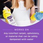 FOLEX Instant Carpet Spot Removers & Microfiber Cloths