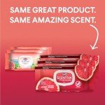 Clorox Scentiva Bleach-Free Cleaning Wipes, 225 Count