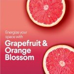 Clorox Scentiva Bleach-Free Cleaning Wipes, 225 Count