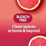 Clorox Scentiva Bleach-Free Cleaning Wipes, 225 Count