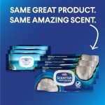 Clorox Scentiva Bleach-Free Cleaning Wipes, 225 Count