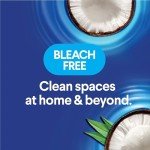Clorox Scentiva Bleach-Free Cleaning Wipes, 225 Count