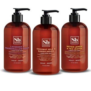 Coconut Lavender Meyer Lemon Liquid Hand Soap, 12oz 3-Pack