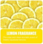 Big D 170 D-Vour Absorbent Powder - Lemon, 12 Pack