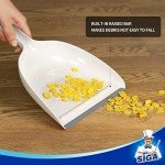 MR.SIGA Portable Dustpan and Brush Set