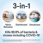 Clorox Fragrance-Free Disinfecting Mist Refill, 3-Pack