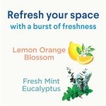 Clorox Lemon Orange Disinfecting Mist Refill Pack