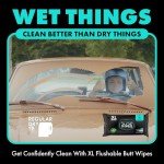 DUDE Wipes - Flushable Mint Chill Wipes, 48 Count