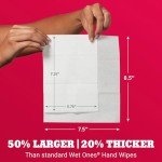 Big & Strong Antibacterial Hand Wipes - 28ct