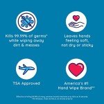 Wet Ones Antibacterial Hand Wipes - Fresh Scent 6 Pack