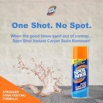 Spot Shot Instant Carpet Stain Remover - 2 Pack