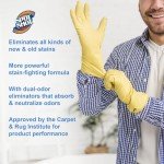 Spot Shot Instant Carpet Stain Remover - 2 Pack