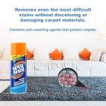 Spot Shot Instant Carpet Stain Remover - 2 Pack