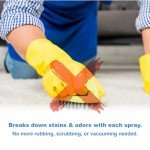 Spot Shot Instant Carpet Stain Remover - 2 Pack