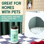 Aunt Fannie's Lemon Carpet Deodorizer Powder, 16 Oz