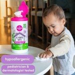 Dapple Baby Plant-Based Hypoallergenic All-Purpose Wipes