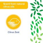 Sun & Earth All-Purpose Cleaner Wipes - 480 Count