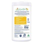 Sun & Earth All-Purpose Cleaner Wipes - 480 Count
