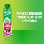 Scrubbing Bubbles Foaming Bathroom Cleaner, 20oz