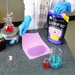 Chemical Cleanup Kit for Small Lab Spills