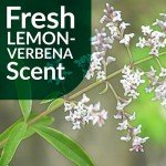 Simple Green Multi-Surface Floor Cleaner 32oz